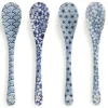 Blue & White Dessert Spoon Set