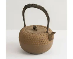 Iwachu Kettle Tetsubin Gravel Turtleshell Brown