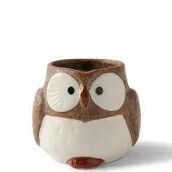 Mug Owl Brown 11 Oz.