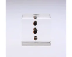 Sola Cube Balloon Plant