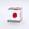 Sola Cube Huayruro Seed