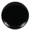 Tenmoku 10" Round Plate